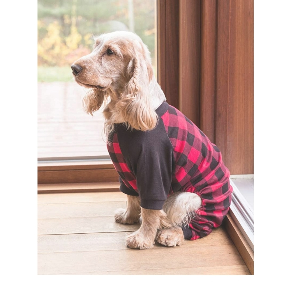 New Dog Pajamas 🐾